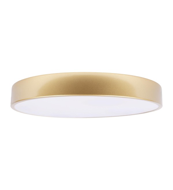 Потолочный светильник LOFT IT Flims 10228/A