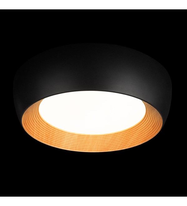 Потолочный светильник LOFT IT Folk 10255/500 Black