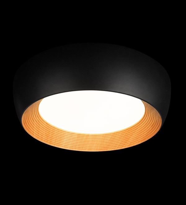 Потолочный светильник LOFT IT Folk 10255/500 Black