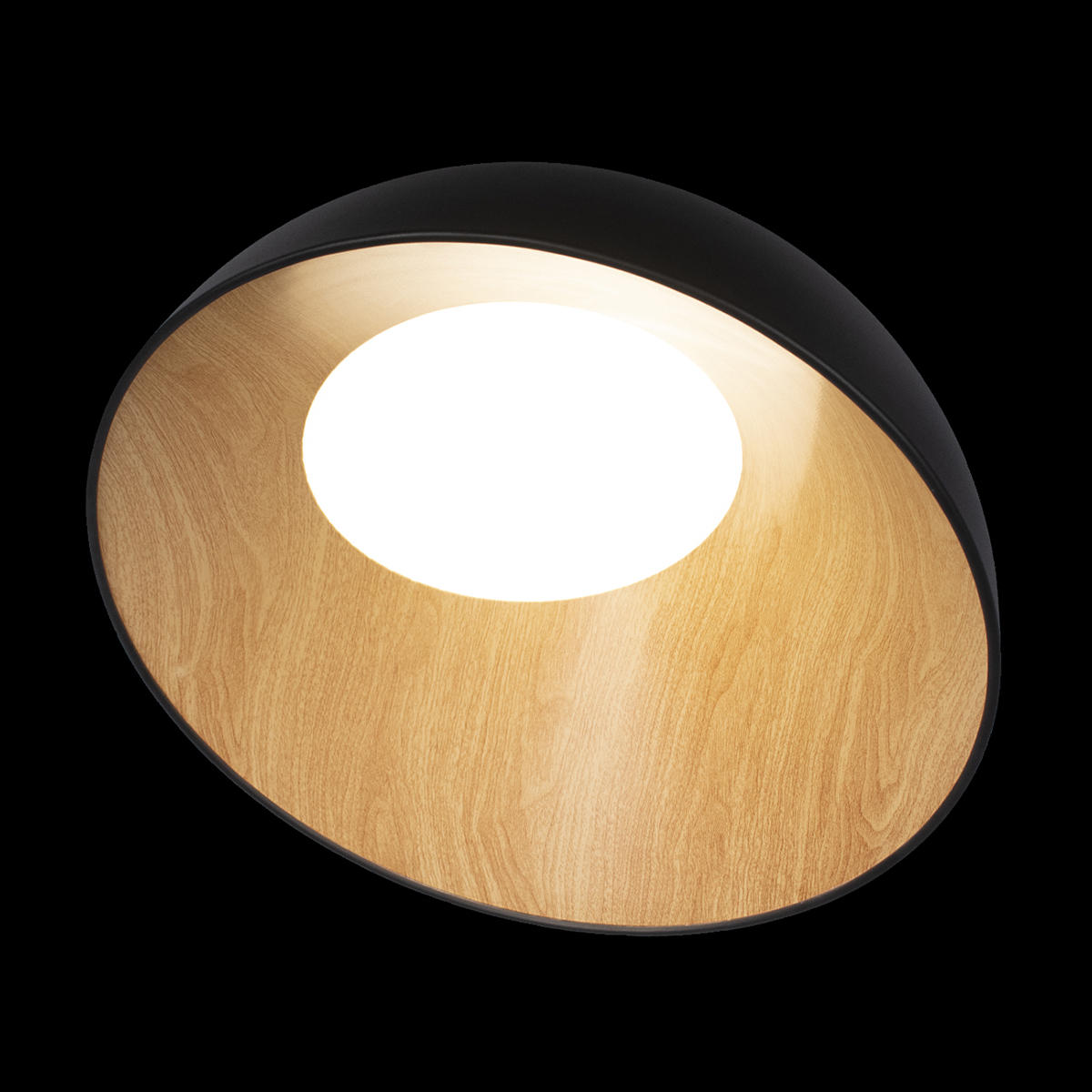 Потолочный светильник LOFT IT Egg 10197/500 Black