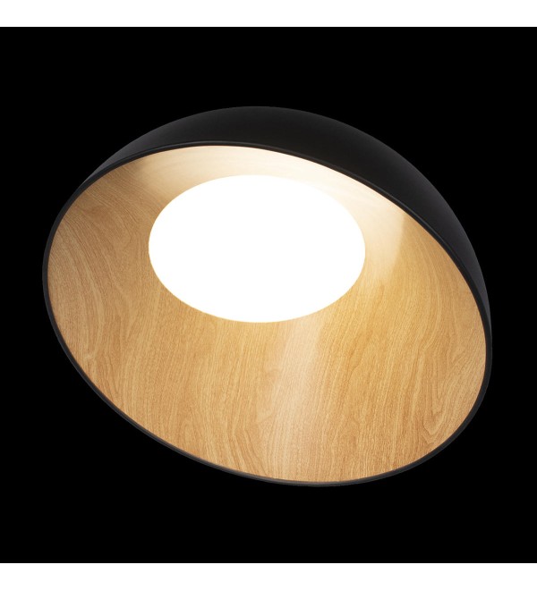 Потолочный светильник LOFT IT Egg 10197/500 Black