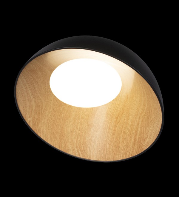 Потолочный светильник LOFT IT Egg 10197/500 Black
