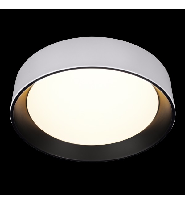 Потолочный светильник LOFT IT Coin 10202 WB