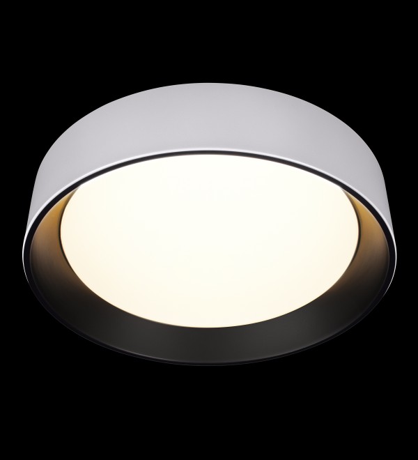 Потолочный светильник LOFT IT Coin 10202 WB