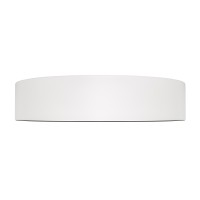Потолочный светильник LOFT IT Coin 10202 WB