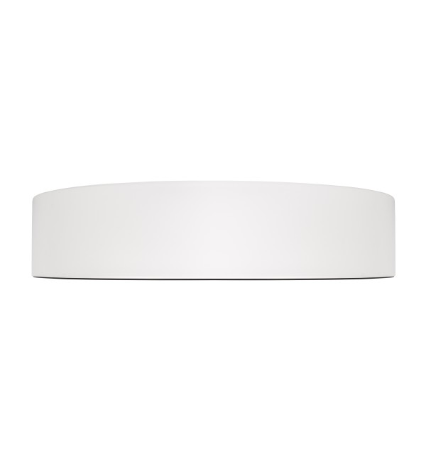 Потолочный светильник LOFT IT Coin 10202 WB