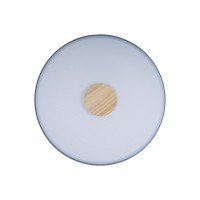 Потолочный светильник LOFT IT Axel 10003/24 Grey