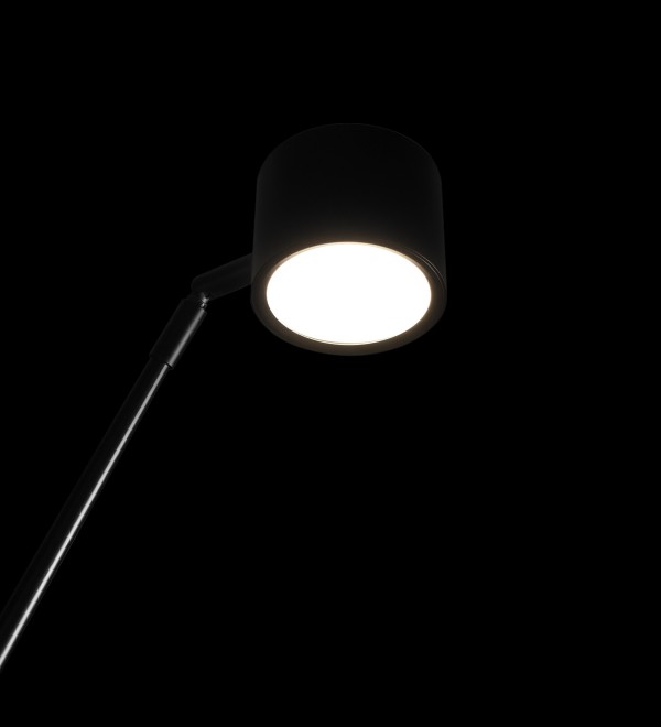 Торшер LOFT IT Sampei 10374/2600