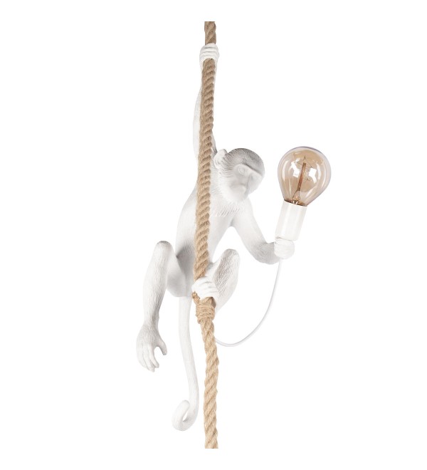 Подвесной светильник LOFT IT Monkey 10314P