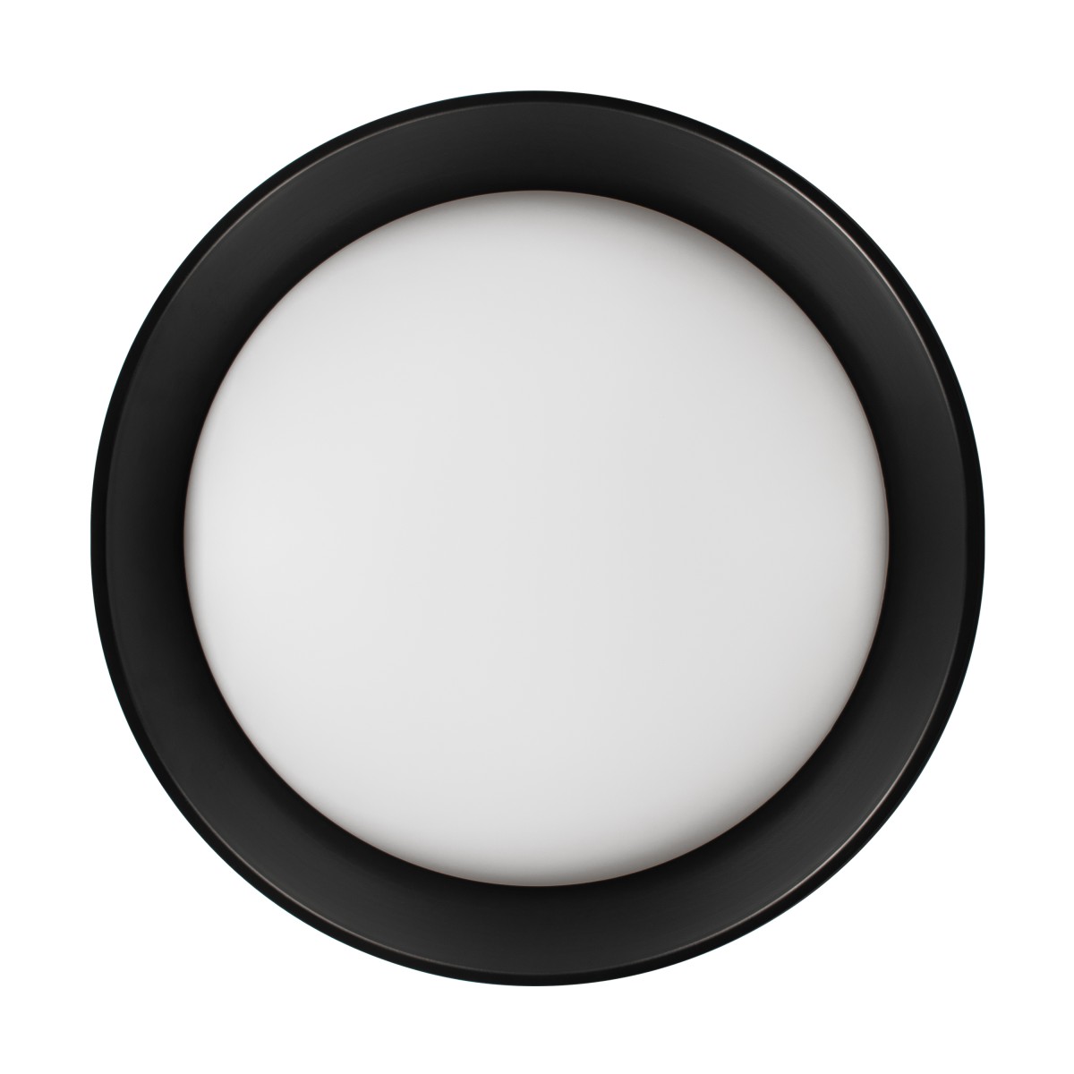 Потолочный светильник LOFT IT Coin 10202 BB