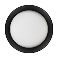 Потолочный светильник LOFT IT Coin 10202 BB