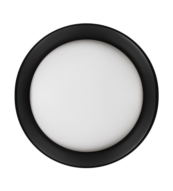 Потолочный светильник LOFT IT Coin 10202 BB