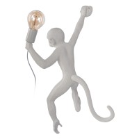 Настенный светильник LOFT IT Monkey 10314W/B
