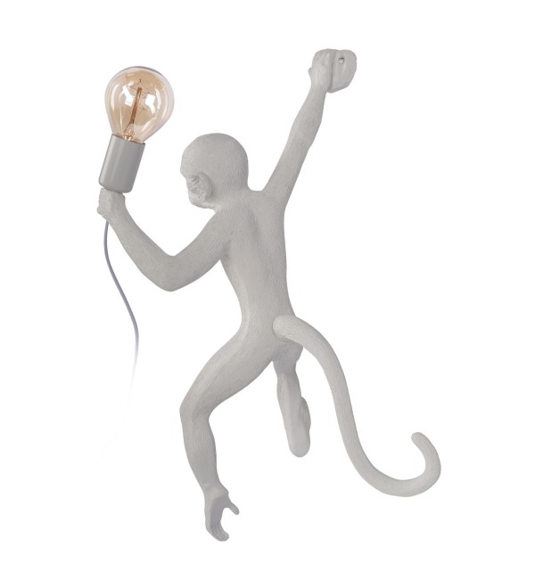 Настенный светильник LOFT IT Monkey 10314W/B