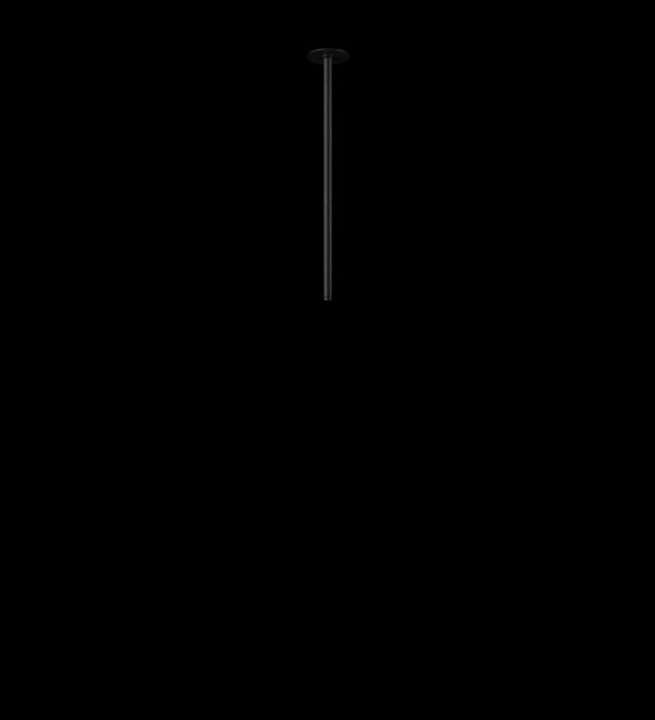 Потолочный светильник LOFT IT Cane 10359/500 Black