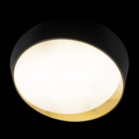 Потолочный светильник LOFT IT Coin 10199 Black