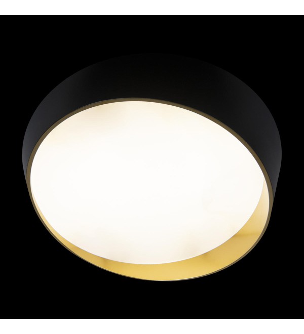 Потолочный светильник LOFT IT Coin 10199 Black