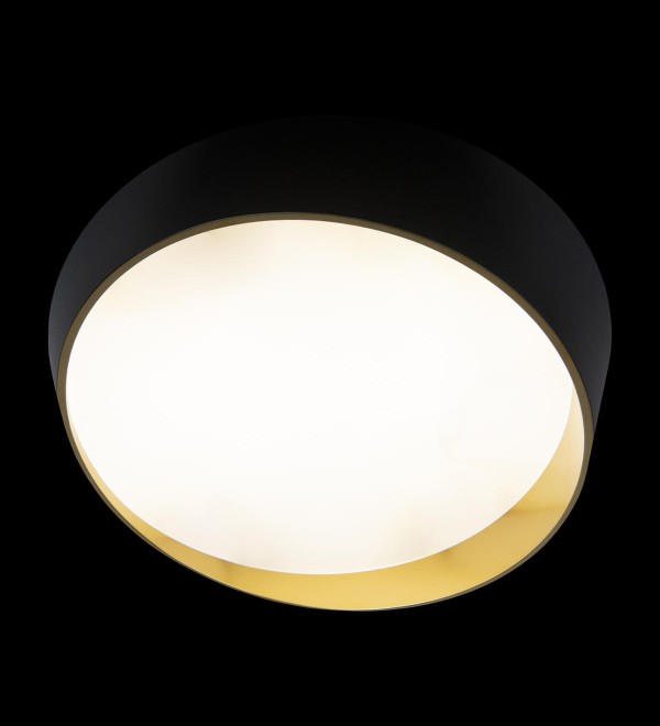 Потолочный светильник LOFT IT Coin 10199 Black
