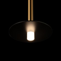Подвесной светильник LOFT IT Reed 10358/830 Disk AB