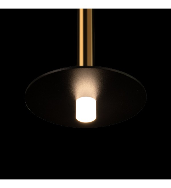 Подвесной светильник LOFT IT Reed 10358/830 Disk AB