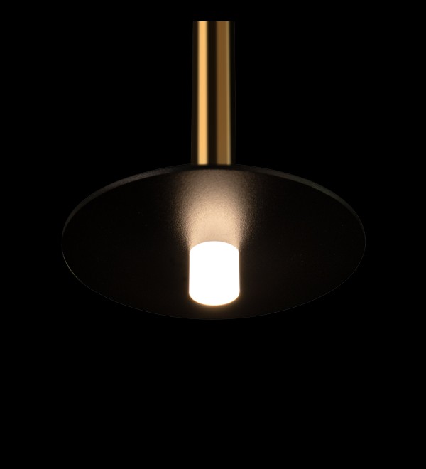 Подвесной светильник LOFT IT Reed 10358/830 Disk AB