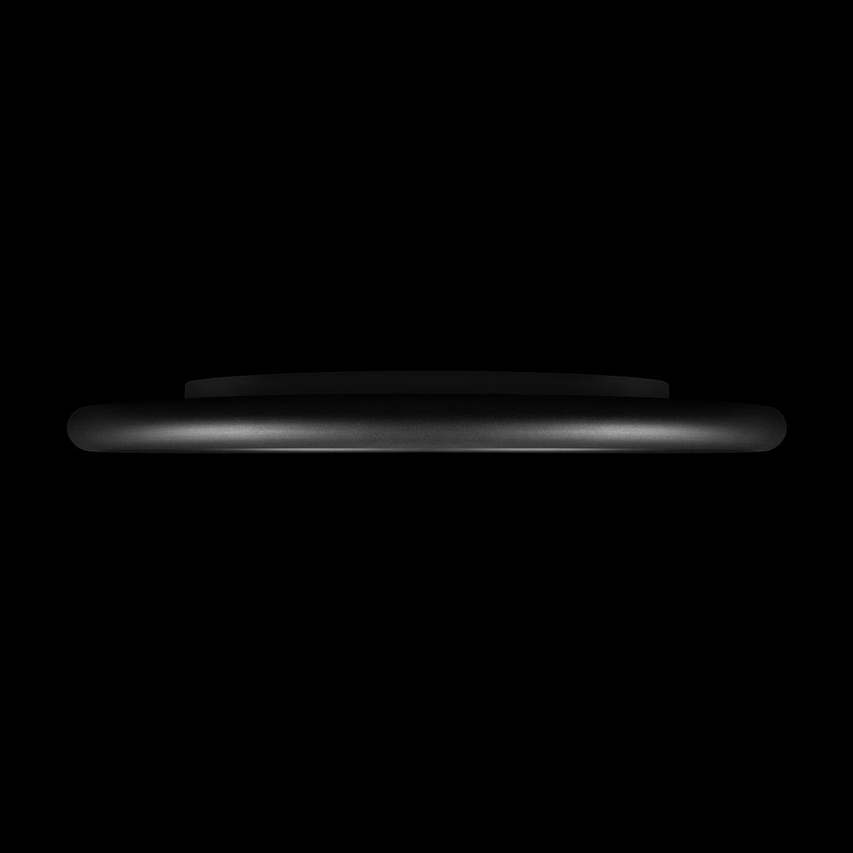 Потолочный светильник LOFT IT Sweety 10454/500 Black