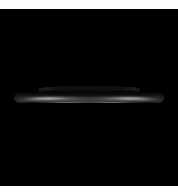 Потолочный светильник LOFT IT Sweety 10454/500 Black