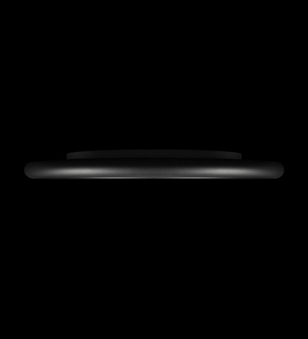 Потолочный светильник LOFT IT Sweety 10454/500 Black