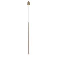 Подвесной светильник LOFT IT Reed 10358/830 AB