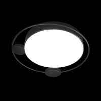 Потолочный светильник LOFT IT Mike 10062