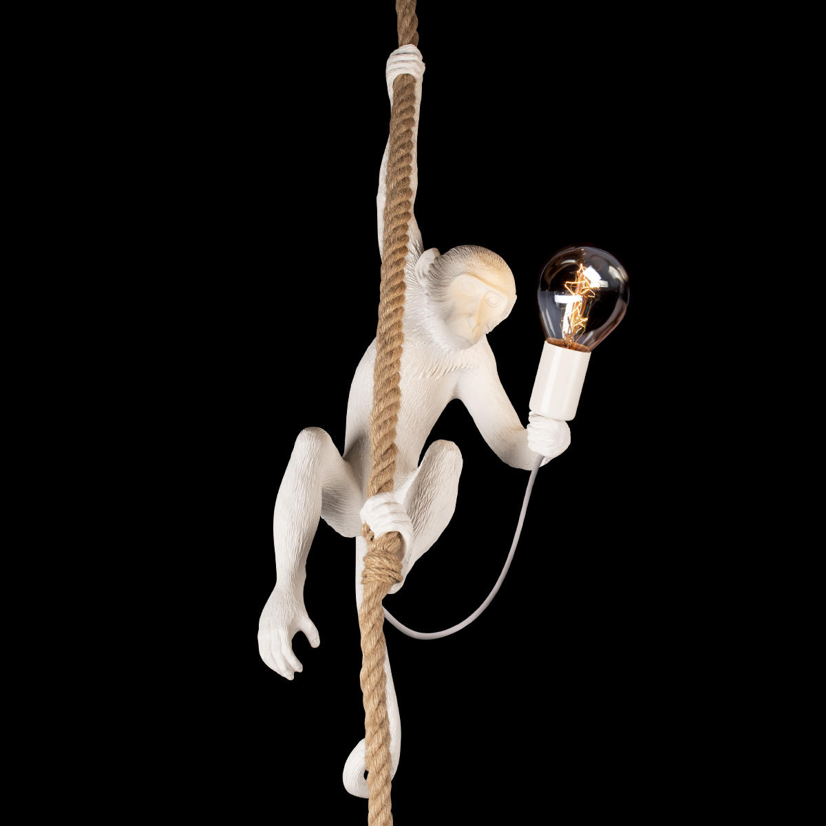Подвесной светильник LOFT IT Monkey 10314P
