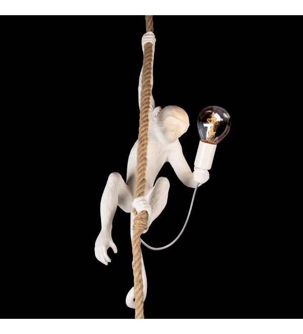 Подвесной светильник LOFT IT Monkey 10314P