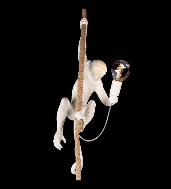 Подвесной светильник LOFT IT Monkey 10314P
