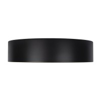 Потолочный светильник LOFT IT Coin 10202 Black