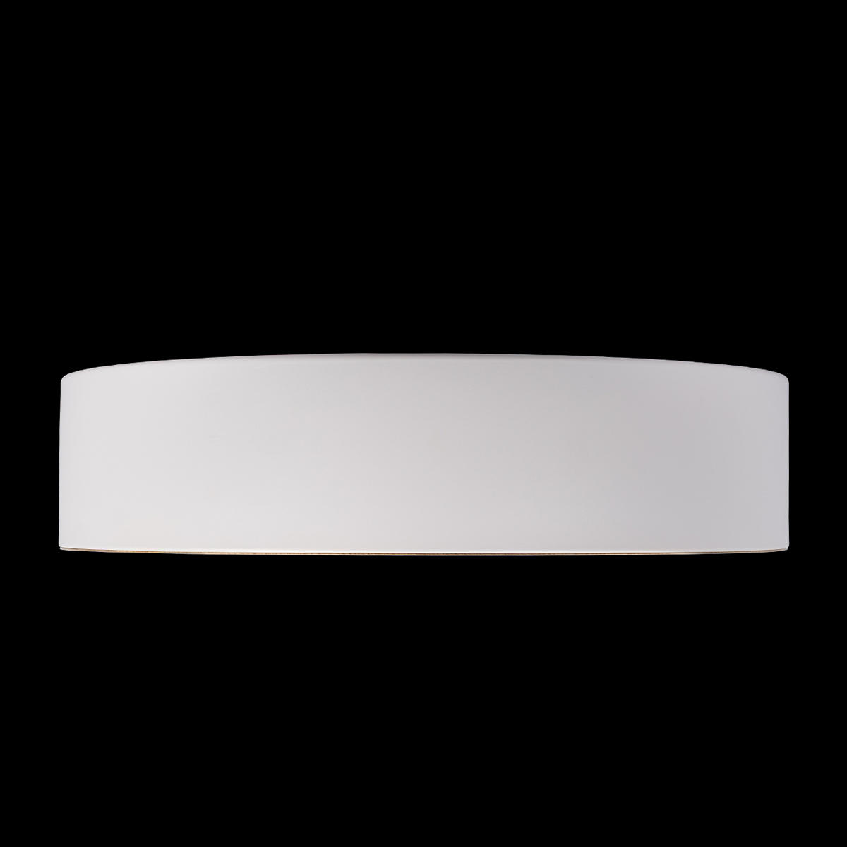 Потолочный светильник LOFT IT Coin 10202 White