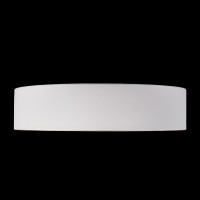 Потолочный светильник LOFT IT Coin 10202 White