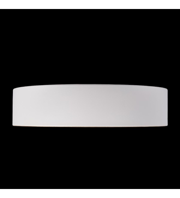 Потолочный светильник LOFT IT Coin 10202 White