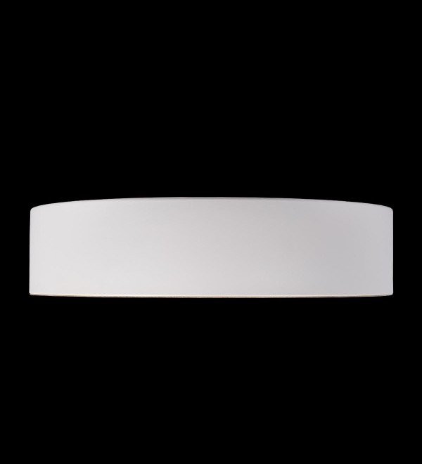 Потолочный светильник LOFT IT Coin 10202 White