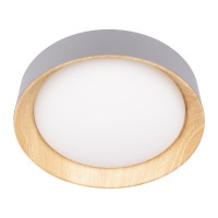 Потолочный светильник LOFT IT Coin 10202 Grey