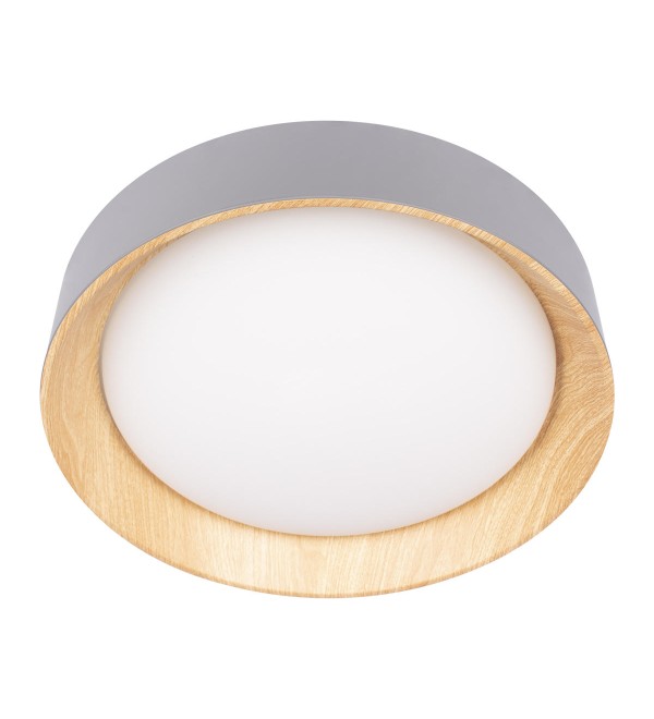 Потолочный светильник LOFT IT Coin 10202 Grey
