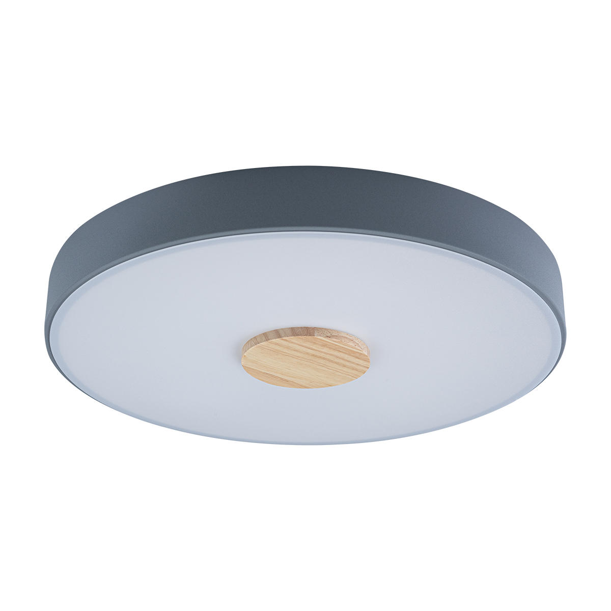Потолочный светильник LOFT IT Axel 10003/24 Grey