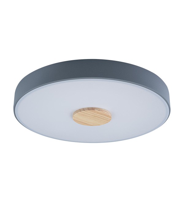 Потолочный светильник LOFT IT Axel 10003/24 Grey