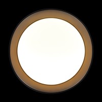 Потолочный светильник LOFT IT Coin 10202 BB