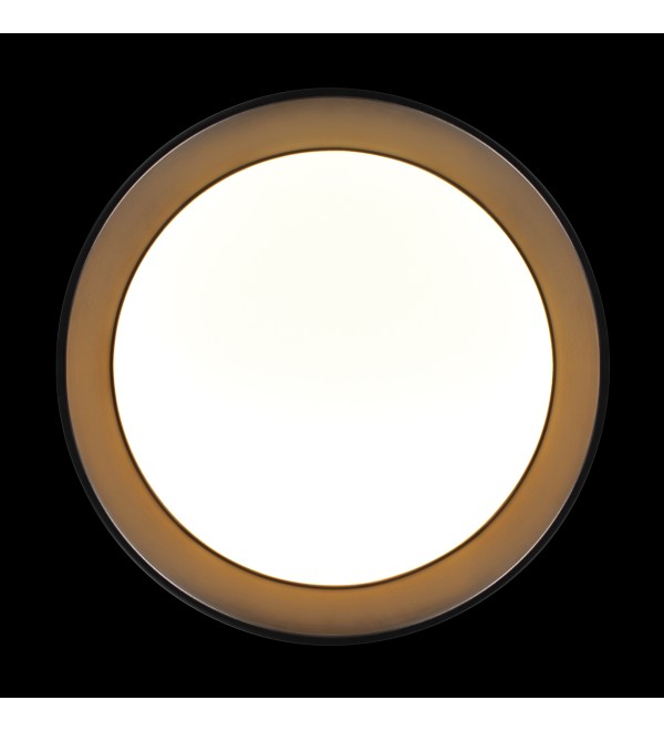 Потолочный светильник LOFT IT Coin 10202 BB