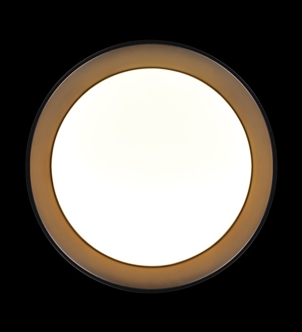 Потолочный светильник LOFT IT Coin 10202 BB