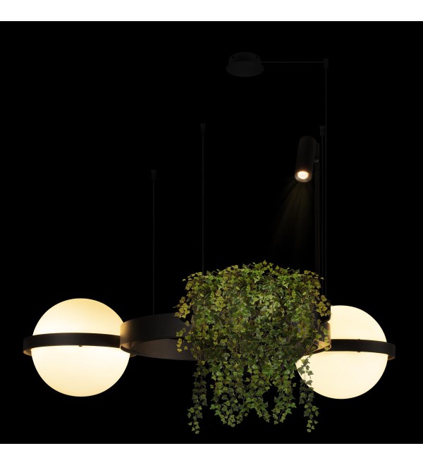 Подвесной светильник LOFT IT Jardin 10121/2