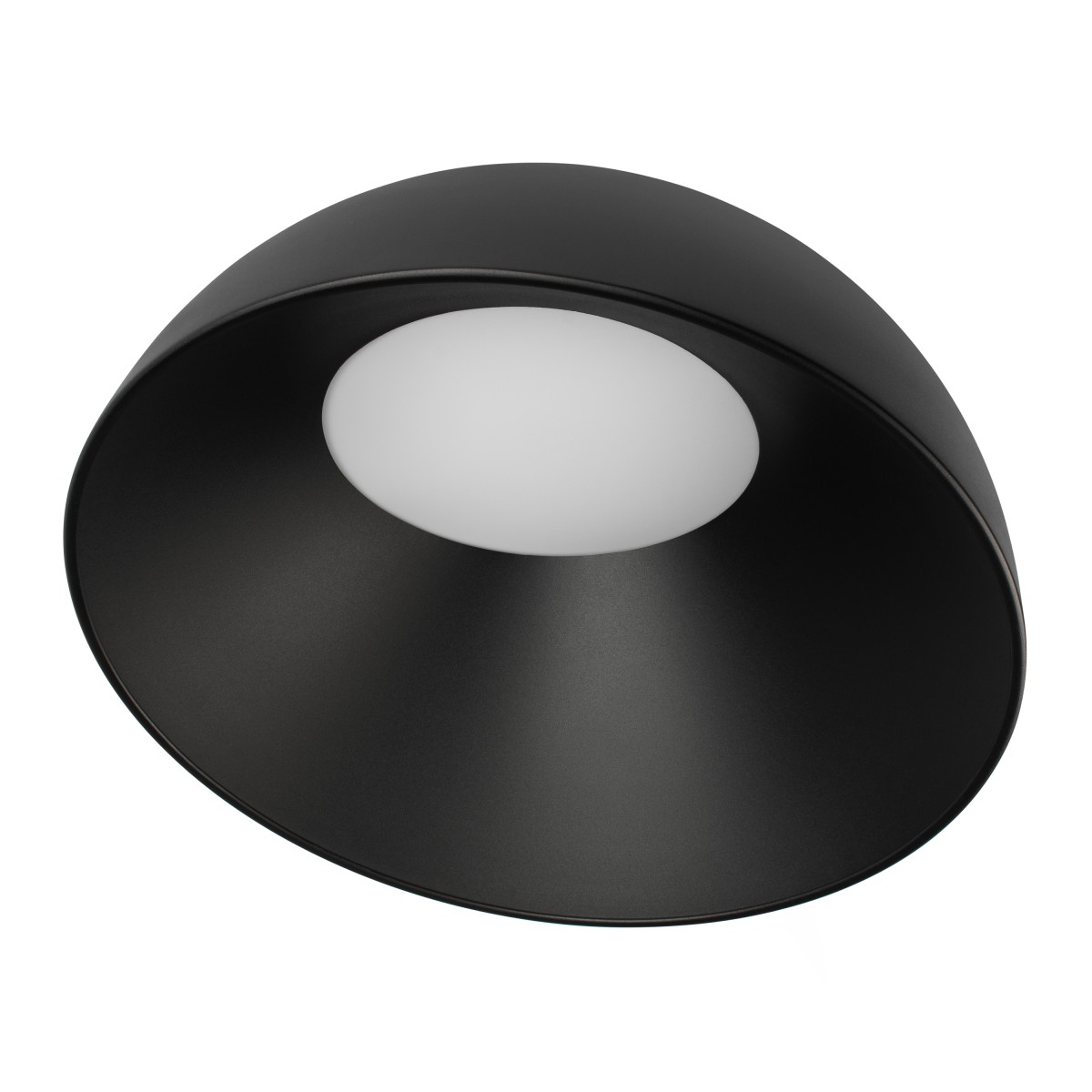Потолочный светильник LOFT IT Egg 10197/500 BB