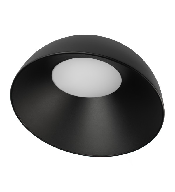 Потолочный светильник LOFT IT Egg 10197/500 BB