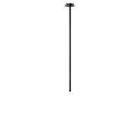 Потолочный светильник LOFT IT Cane 10359/800 Black