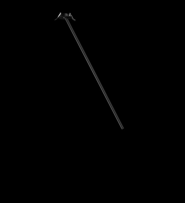 Потолочный светильник LOFT IT Cane 10359/800 Black